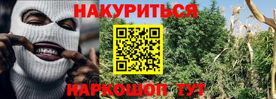 прущие грибы Бузулук