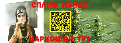 крисы Будённовск