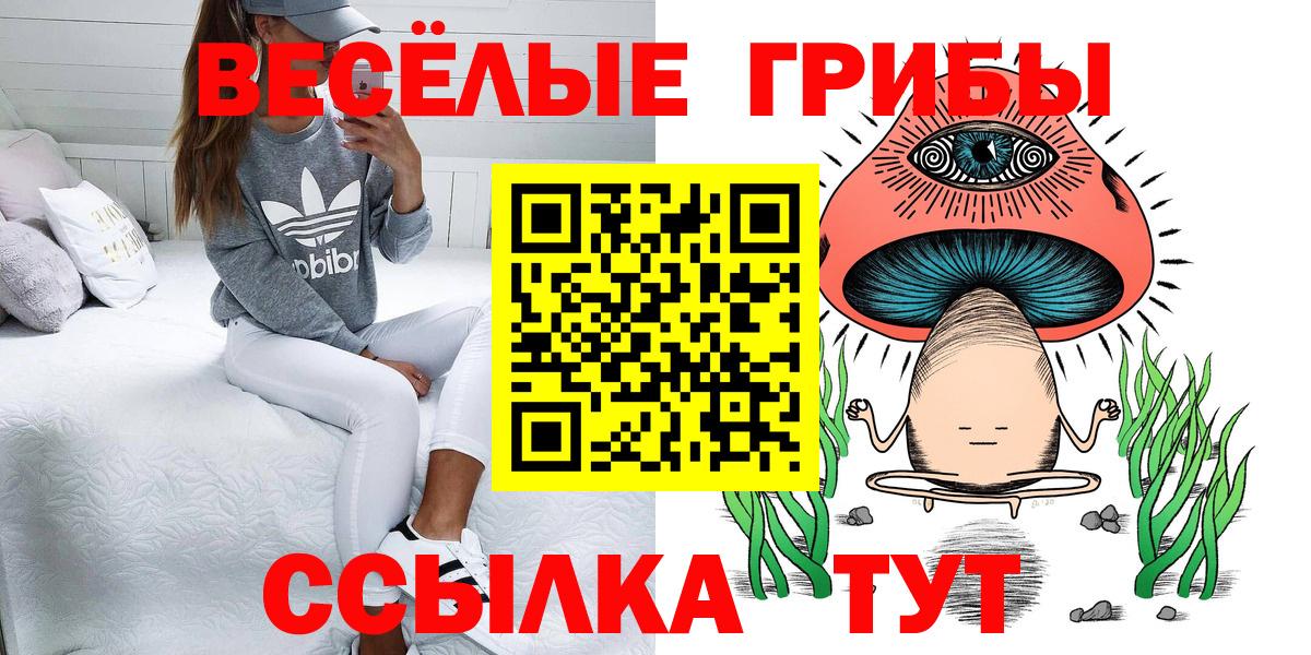 Тайшет  как найти закладки  Вход с VPN  Псилоцибиновые грибы прущие грибы 