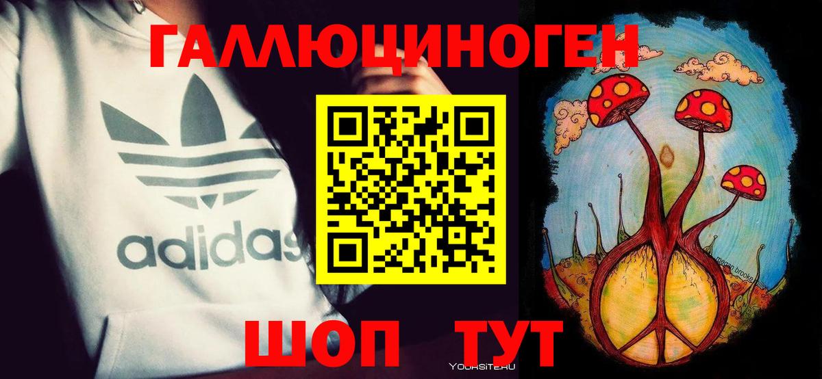 Галлюциногенные грибы прущие грибы Тайшет